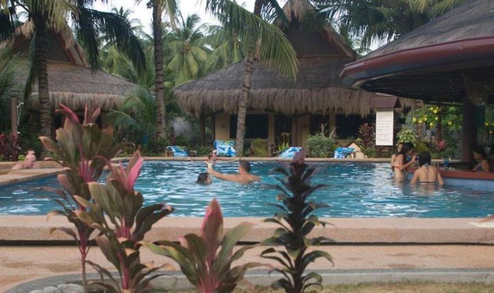 Aqua-Landia Resort Dauin Exterior foto