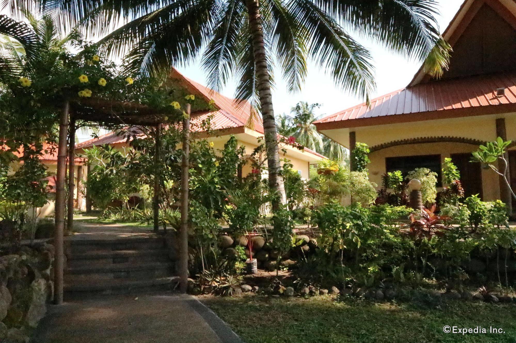 Aqua-Landia Resort Dauin Exterior foto